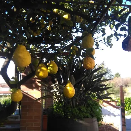 La Porta Del Cilento Bed & Breakfast Capaccio
