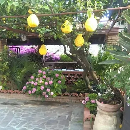 La Porta Del Cilento ベッド・アンド・ブレックファスト *