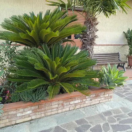 La Porta Del Cilento Bed & Breakfast Capaccio