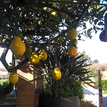 La Porta Del Cilento Bed & Breakfast