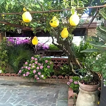 La Porta Del Cilento Отель типа 