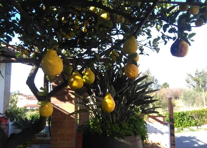 La Porta Del Cilento Bed and breakfast Capaccio