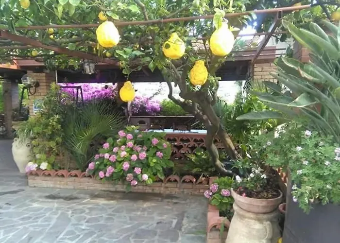 La Porta Del Cilento Bed and breakfast 3*